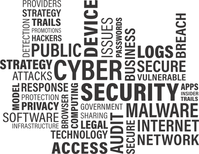 databreach-cyber-2120014_640